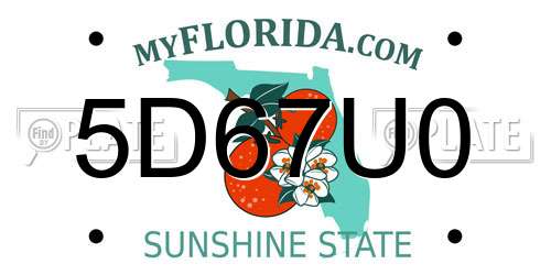 5D67U0 Florida License Plate