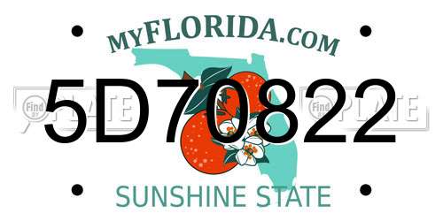 5D70822 Florida License Plate