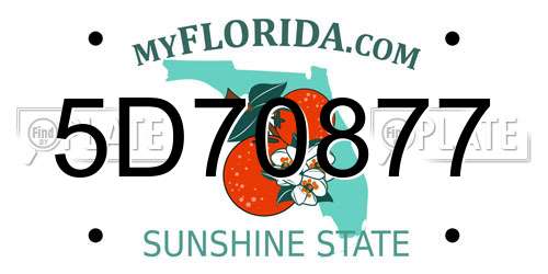 5D70877 Florida License Plate