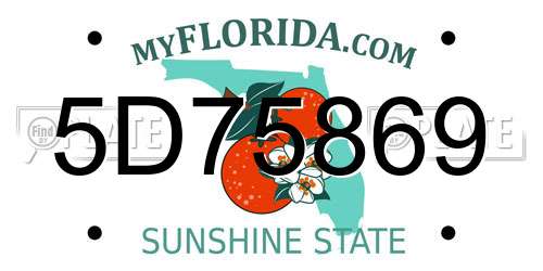 5D75869 Florida License Plate