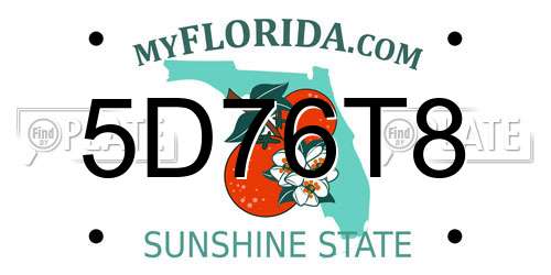 5D76T8 Florida License Plate