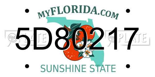 5D80217 Florida License Plate