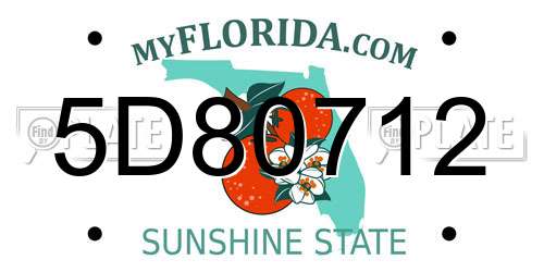 5D80712 Florida License Plate