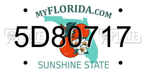 5D80717 Florida License Plate