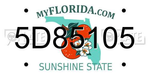 5D85105 Florida License Plate