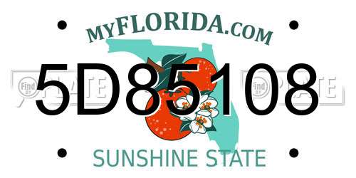 5D85108 Florida License Plate