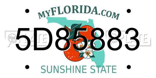 5D85883 Florida License Plate