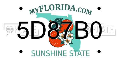 5D87B0 Florida License Plate
