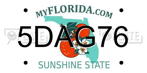 5DAG76 Florida License Plate