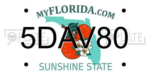 5DAV80 Florida License Plate