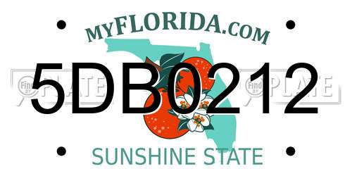 5DB0212 Florida License Plate
