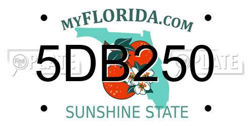 5DB250 Florida License Plate