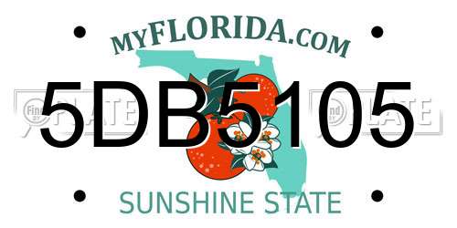 5DB5105 Florida License Plate
