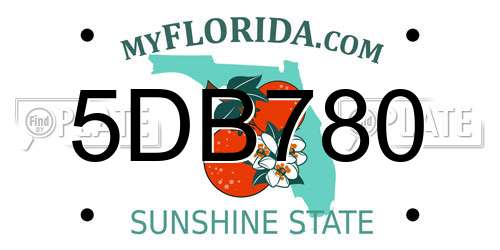 5DB780 Florida License Plate