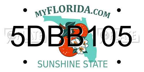5DBB105 Florida License Plate