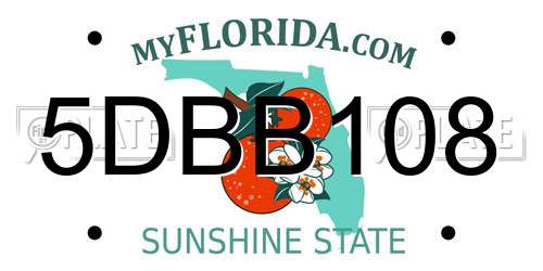 5DBB108 Florida License Plate