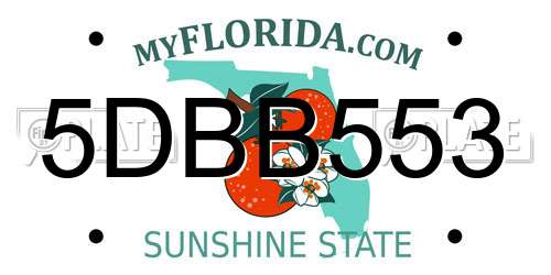 5DBB553 Florida License Plate