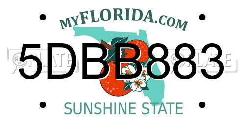 5DBB883 Florida License Plate