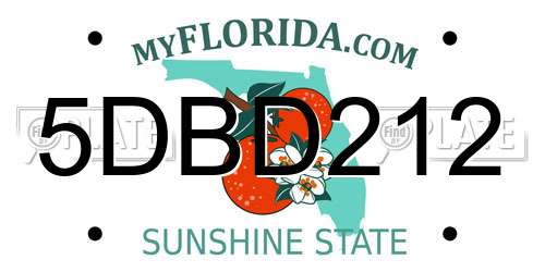 5DBD212 Florida License Plate