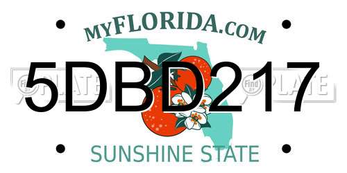 5DBD217 Florida License Plate