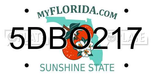 5DBO217 Florida License Plate