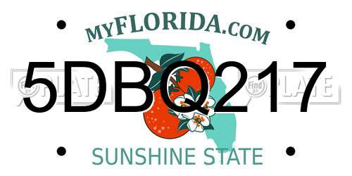 5DBQ217 Florida License Plate