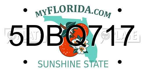 5DBQ717 Florida License Plate
