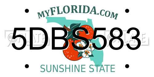 5DBS583 Florida License Plate