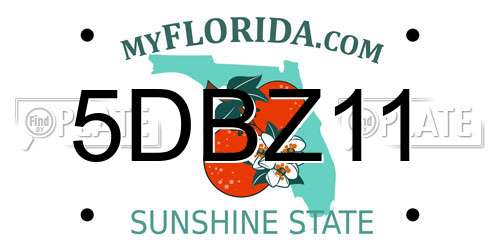 5DBZ11 Florida License Plate