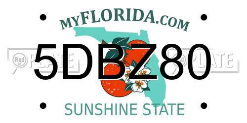 5DBZ80 Florida License Plate