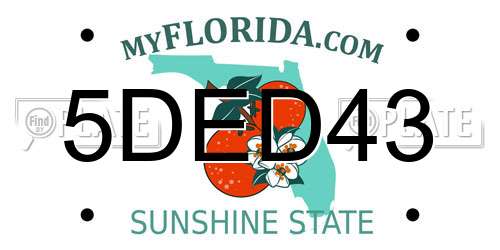 5DED43 Florida License Plate