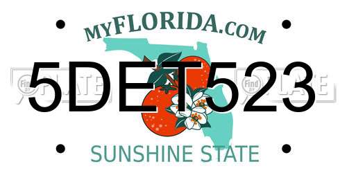 5DET523 Florida License Plate