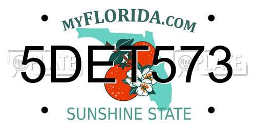 5DET573 Florida License Plate