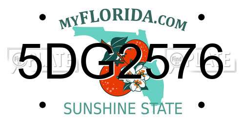 5DG2576 Florida License Plate
