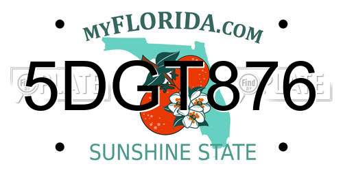 5DGT876 Florida License Plate