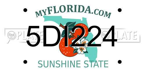 5DI224 Florida License Plate