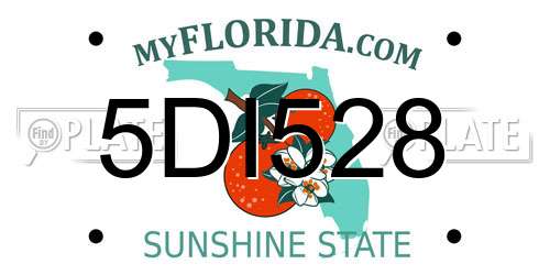 5DI528 Florida License Plate