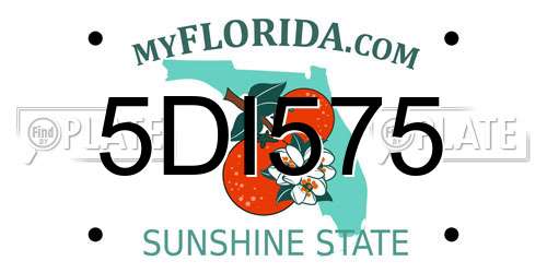 5DI575 Florida License Plate