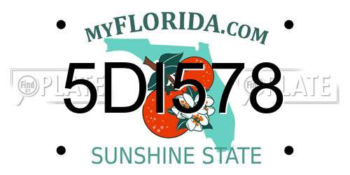 5DI578 Florida License Plate