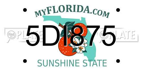 5DI875 Florida License Plate