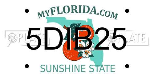 5DIB25 Florida License Plate