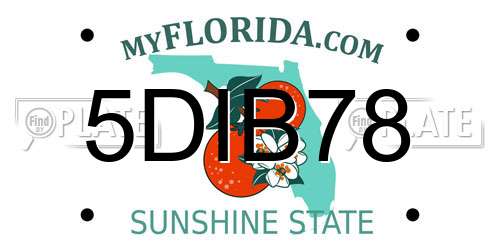 5DIB78 Florida License Plate
