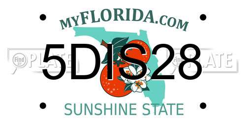 5DIS28 Florida License Plate