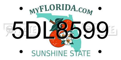 5DL8599 Florida License Plate