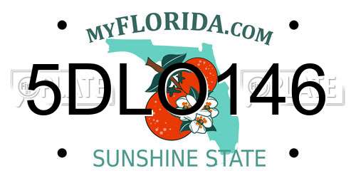 5DLO146 Florida License Plate