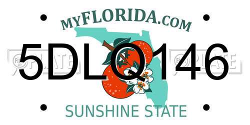 5DLQ146 Florida License Plate