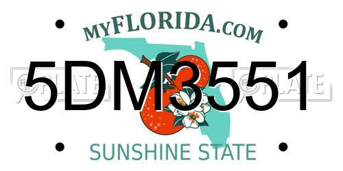 5DM3551 Florida License Plate