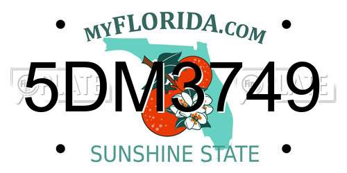 5DM3749 Florida License Plate