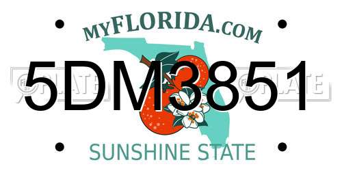 5DM3851 Florida License Plate