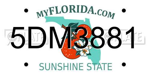 5DM3881 Florida License Plate